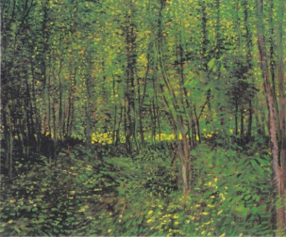 Van_Gogh_-_Bäume_und_Unterholz2